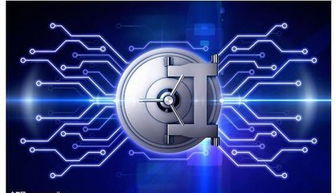 虚拟服务器 网络与信息安全软件开发的基础